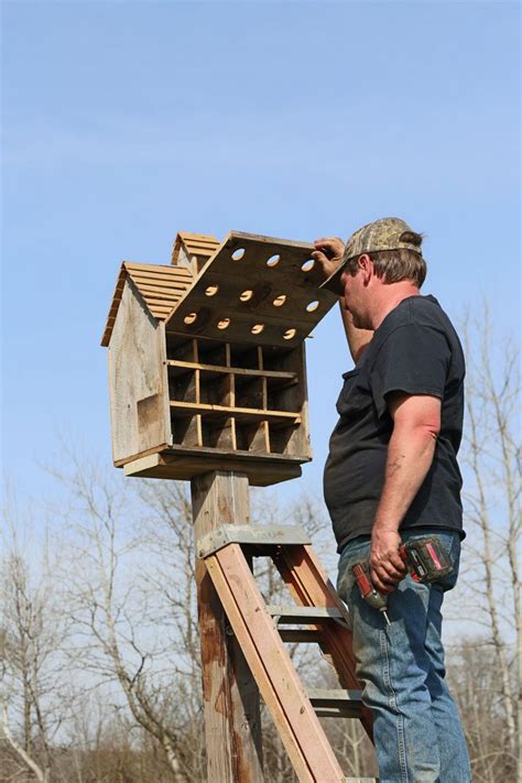 metal martin bird houses|martin bird house placement.